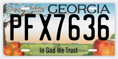 GA license plate PFX7636