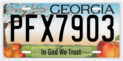 GA license plate PFX7903
