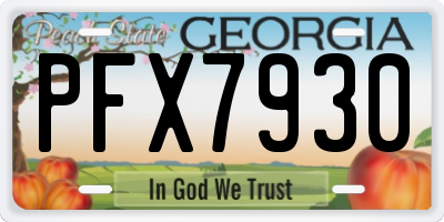 GA license plate PFX7930