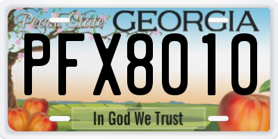 GA license plate PFX8010