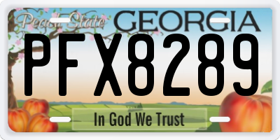 GA license plate PFX8289