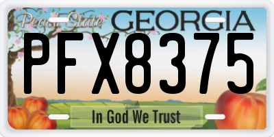 GA license plate PFX8375