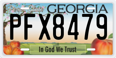 GA license plate PFX8479