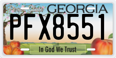 GA license plate PFX8551