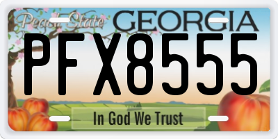 GA license plate PFX8555