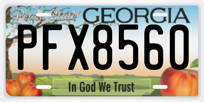 GA license plate PFX8560