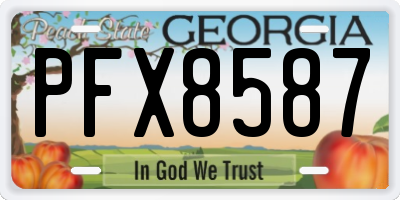 GA license plate PFX8587