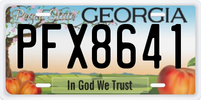 GA license plate PFX8641