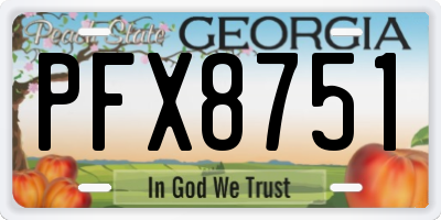 GA license plate PFX8751
