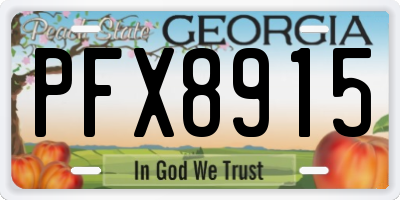 GA license plate PFX8915