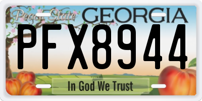 GA license plate PFX8944