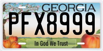 GA license plate PFX8999