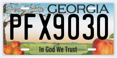 GA license plate PFX9030