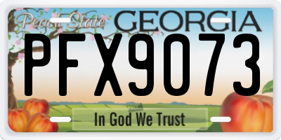 GA license plate PFX9073