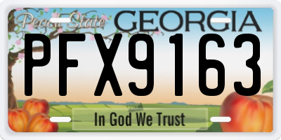 GA license plate PFX9163