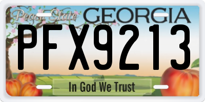 GA license plate PFX9213