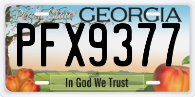 GA license plate PFX9377
