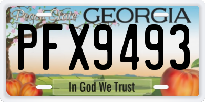 GA license plate PFX9493