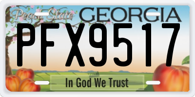 GA license plate PFX9517