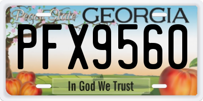 GA license plate PFX9560