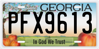 GA license plate PFX9613