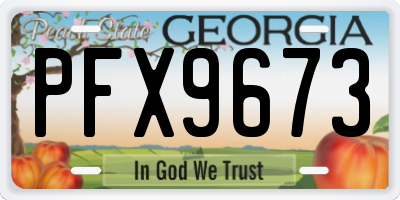 GA license plate PFX9673