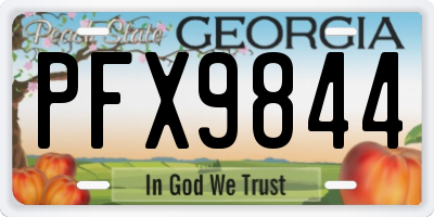 GA license plate PFX9844