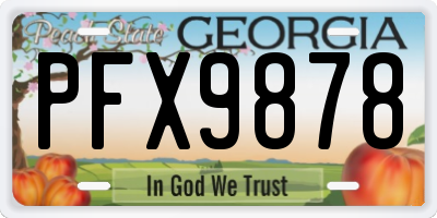 GA license plate PFX9878