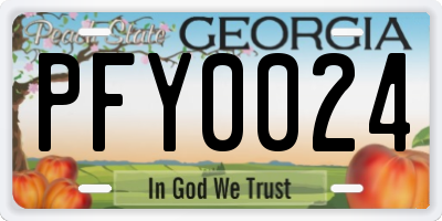 GA license plate PFY0024