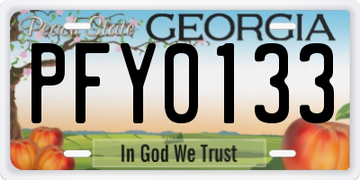 GA license plate PFY0133