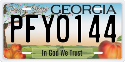 GA license plate PFY0144