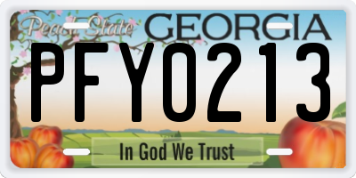 GA license plate PFY0213