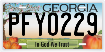 GA license plate PFY0229