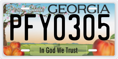 GA license plate PFY0305