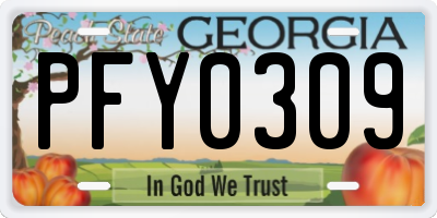 GA license plate PFY0309