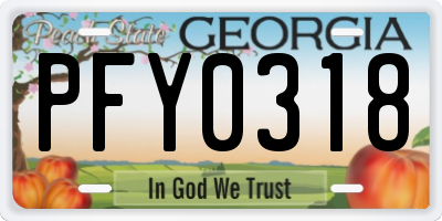 GA license plate PFY0318