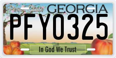 GA license plate PFY0325