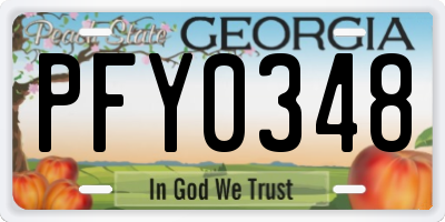 GA license plate PFY0348