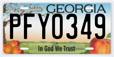 GA license plate PFY0349