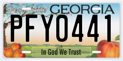 GA license plate PFY0441