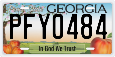 GA license plate PFY0484