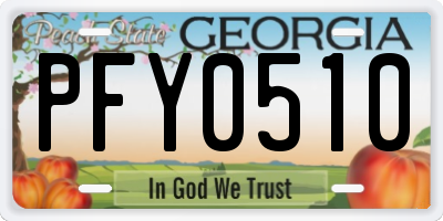 GA license plate PFY0510