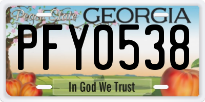 GA license plate PFY0538