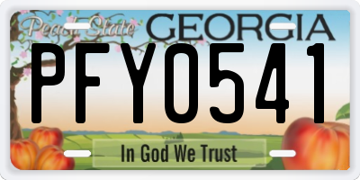 GA license plate PFY0541