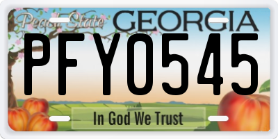 GA license plate PFY0545