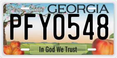 GA license plate PFY0548