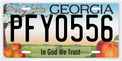 GA license plate PFY0556