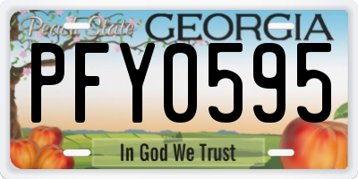GA license plate PFY0595
