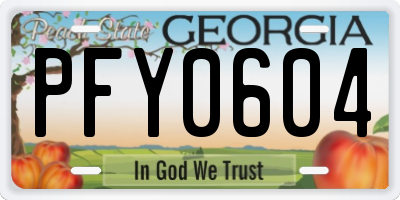 GA license plate PFY0604