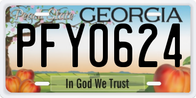 GA license plate PFY0624